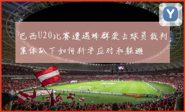 巴西U20比赛遭遇蜂群袭击球员裁判集体趴下如何科学应对和躲避