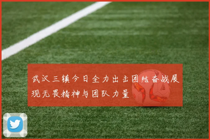武汉三镇今日全力出击团结奋战展现无畏精神与团队力量